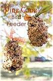 images of Bird Feeder Pinecone Peanut Butter