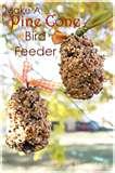 images of Bird Feeder Pinecone Peanut Butter images of Bird Feeder Pinecone Peanut Butter