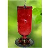 Bird Feeder 20 Oz Bottle photos Bird Feeder 20 Oz Bottle photos