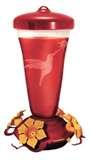 Bird Feeder 20 Oz Bottle Bird Feeder 20 Oz Bottle