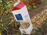 Bird Feeder Egg Carton pictures