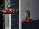 pictures of Bird Feeder Rv pictures of Bird Feeder Rv