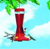 pictures of Bird Feeder 20 Oz Bottle pictures of Bird Feeder 20 Oz Bottle