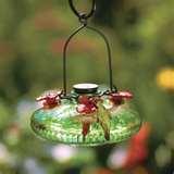 Bird Feeders Beginners Bird Feeders Beginners