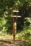 pictures of Bird Feeder Little Birds pictures of Bird Feeder Little Birds
