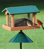 pictures of Bird Feeder Shop