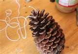 photos of Bird Feeder Pinecone Peanut Butter photos of Bird Feeder Pinecone Peanut Butter