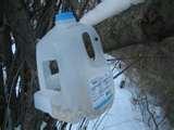 How To Make A Bird Feeder Out Of A Milk Jug