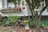 images of Bird Feeders Affiliate Program images of Bird Feeders Affiliate Program