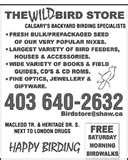 Bird Feeders Affiliate Program photos Bird Feeders Affiliate Program photos