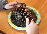 pictures of Bird Feeder Pinecone Peanut Butter pictures of Bird Feeder Pinecone Peanut Butter