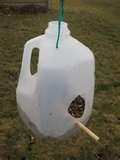 How To Make A Bird Feeder Out Of A Milk Jug photos