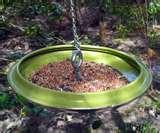photos of Bird Feeder By Birds photos of Bird Feeder By Birds