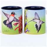 images of Bird Feeders Phoenix Area images of Bird Feeders Phoenix Area