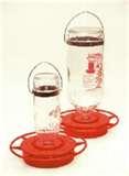 Bird Feeder 20 Oz Bottle pictures Bird Feeder 20 Oz Bottle pictures