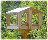 images of Bird Feeder Minnesota