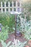 pictures of Bird Feeder Catalog pictures of Bird Feeder Catalog
