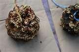 photos of Bird Feeder Pinecone Peanut Butter