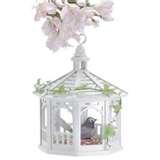 Bird Feeders Beginners photos Bird Feeders Beginners photos