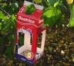 images of Bird Feeder Egg Carton