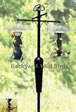 photos of Bird Feeder Catalog