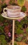 Bird Feeder Teacup photos Bird Feeder Teacup photos