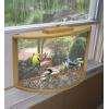 images of Window Bird Feeder Amazon images of Window Bird Feeder Amazon