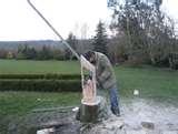 Bird Feeder Sculpture pictures Bird Feeder Sculpture pictures