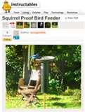 pictures of Bird Feeders Diagrams