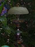 Bird Feeders North Carolina pictures Bird Feeders North Carolina pictures