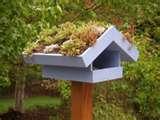 Bird Feeder Elementary images