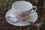 images of Bird Feeder Teacup images of Bird Feeder Teacup