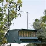 photos of Bird Feeders Squirrel Free photos of Bird Feeders Squirrel Free