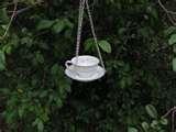 Bird Feeder Teacup images Bird Feeder Teacup images
