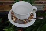 Bird Feeder Teacup images