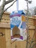 pictures of Bird Feeder Elementary