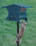 Bird Feeder Absolute Ii images Bird Feeder Absolute Ii images