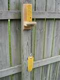 photos of Bird Feeders Squirrel Free photos of Bird Feeders Squirrel Free