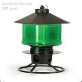 photos of Bird Feeders Of Nature photos of Bird Feeders Of Nature