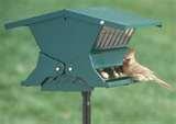 Bird Feeder Absolute Ii Bird Feeder Absolute Ii
