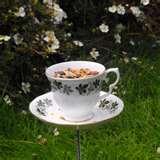 Bird Feeder Teacup photos Bird Feeder Teacup photos
