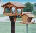 Bird Feeders Diagrams Bird Feeders Diagrams