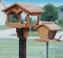 Bird Feeders Diagrams