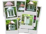 pictures of Bird Feeders North Carolina pictures of Bird Feeders North Carolina