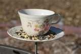 Bird Feeder Teacup photos Bird Feeder Teacup photos