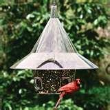 Bird Feeders North Carolina images Bird Feeders North Carolina images