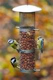 pictures of Bird Feeder Types Uk