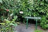 pictures of Bird Feeders Of Nature pictures of Bird Feeders Of Nature