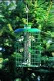 Bird Feeders Nfl images