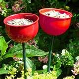 Bird Feeders Fat photos Bird Feeders Fat photos